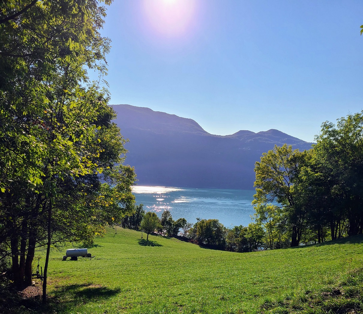 Etendue d'herbe avec vue sur le lac du Bourget