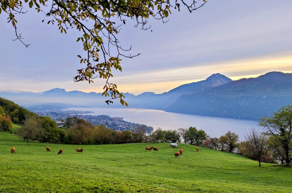 Vue sur le lac du Bourget depuis les alpages