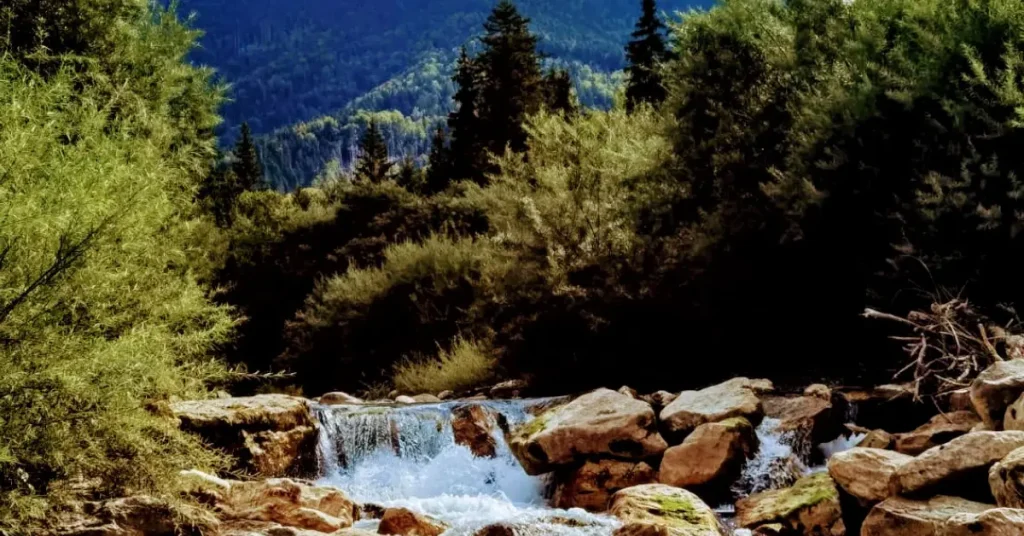 La rivière du Chéran Une rivière coule en pleine nature, dans les Bauges, entre des rochers, en montagne. Idéale pour la baignade, proche du gite La Grange de Capucine.