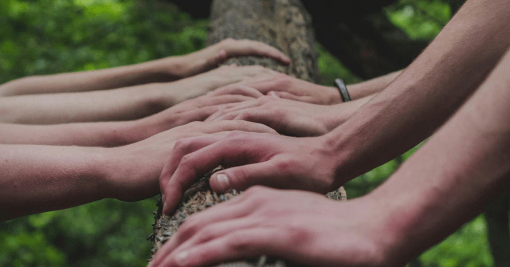 Des mains de collaborateurs sont posées sur un tronc d'arbre, dans le cadre d'un atelier de team building.